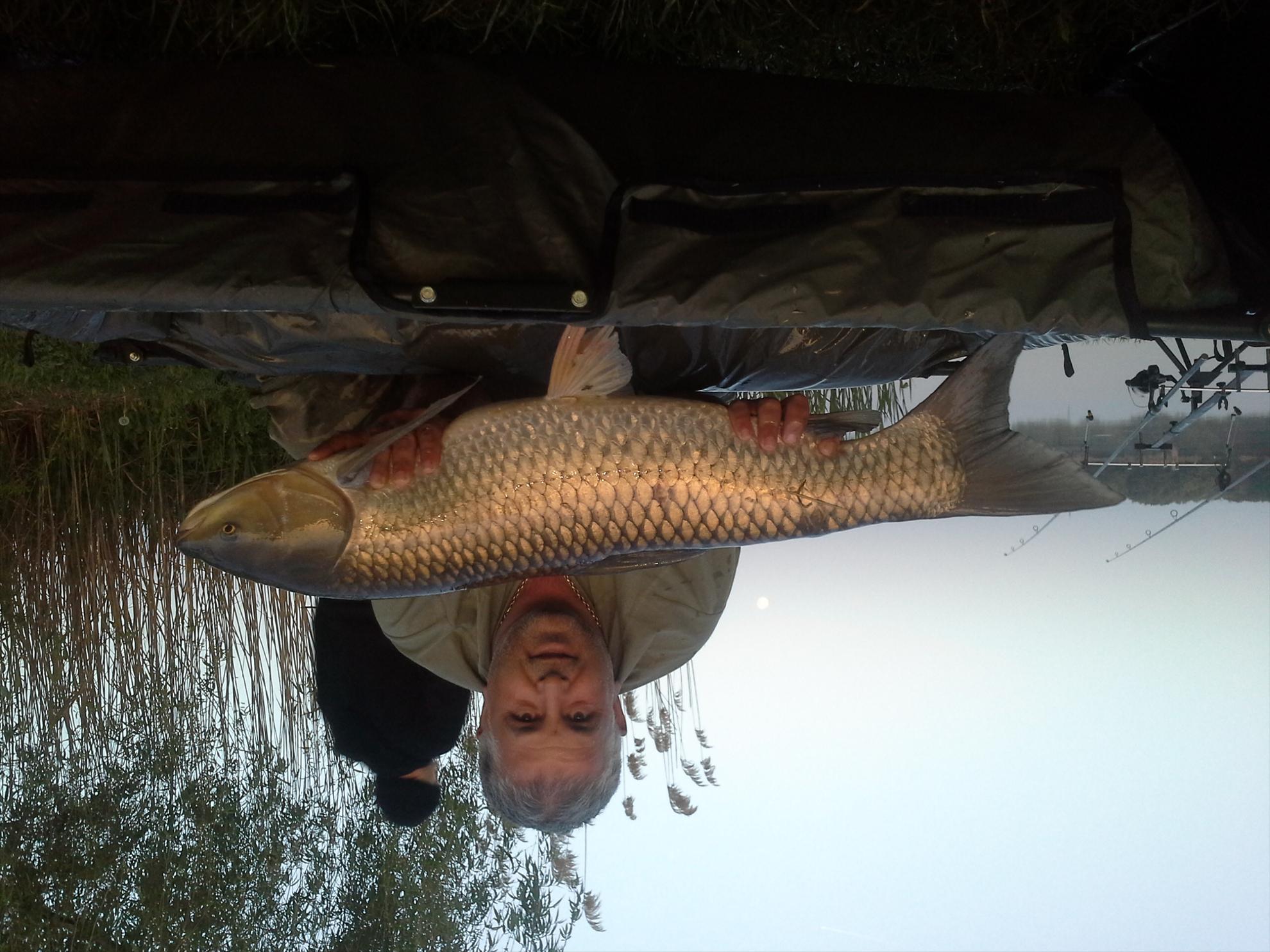 Pescuit la crap - 201304270622011.jpg